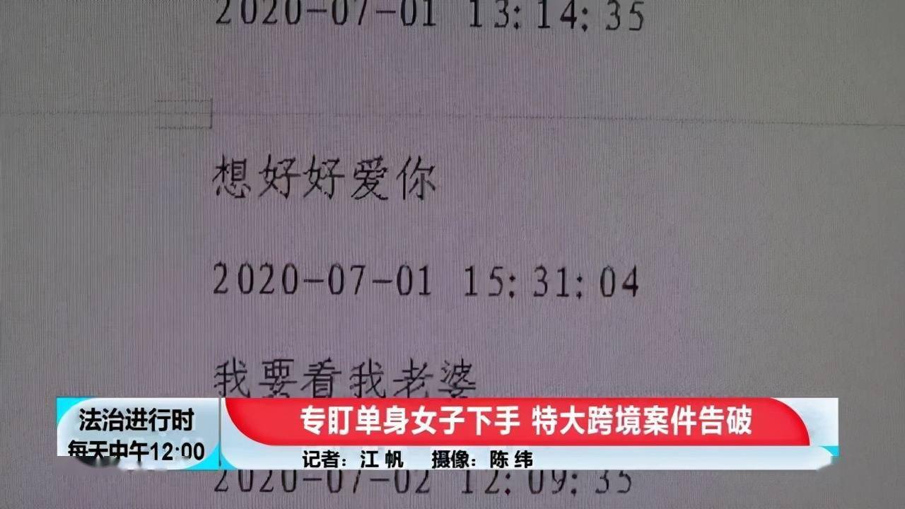 2025新澳最新版精准特的全面诠释、解释与落实 解析与释义与警惕虚假宣传